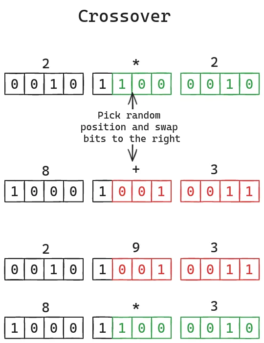 Illustration of genetic crossover